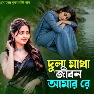 দুলা মাখা জীবন আমার রে | Dula Makha Jibon Amar Re (Dj Version )