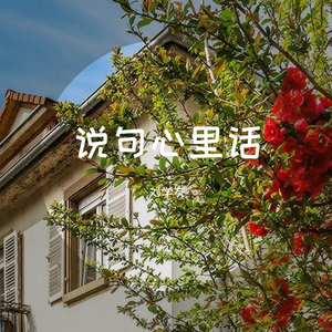 说句心里话