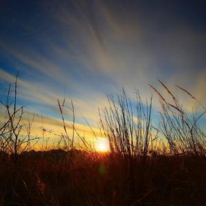 逃离（Prod EVOMUSIC）