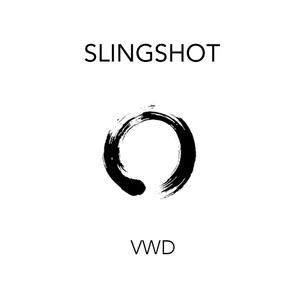 Interstellar Slingshot