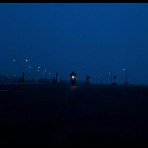 楼顶上的小斑鸠