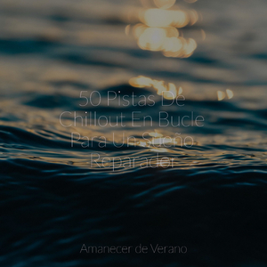 Espléndido Sueño Alado