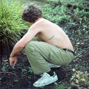 Pedals (sunset in mexico)