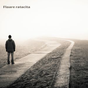 Flaore ratacita