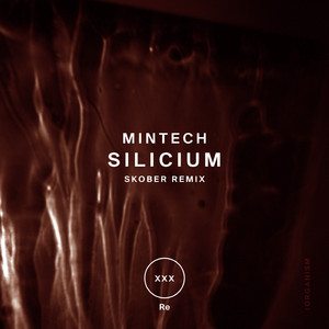 Silicium (Skober Remix)