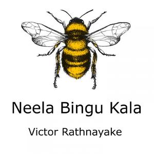 Daiwayogayakin Nowedo