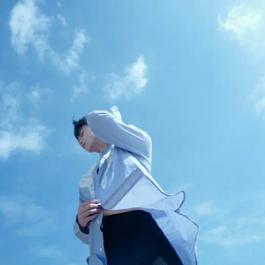 孟君 - 抵不过命运