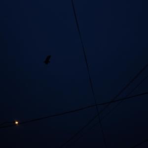 我一部分的沦陷