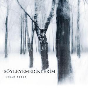 SÖYLEYEMEDİMLERİM