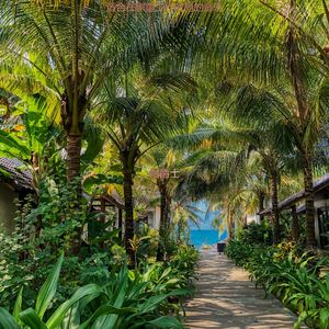 适合专注最好的音乐