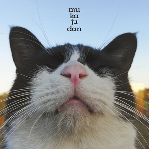 ビッグ・タイム