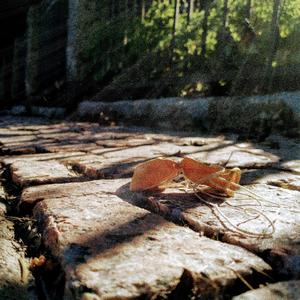 Kuolevainen (Feeling Mortal)