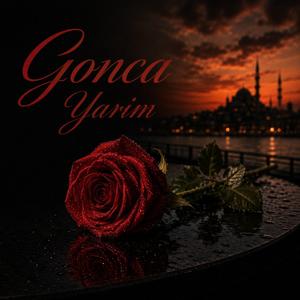 Gonca Yarim
