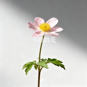 不跪的花 (Cover 央金拉姆)