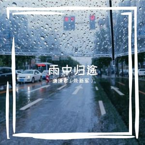 雨中归途