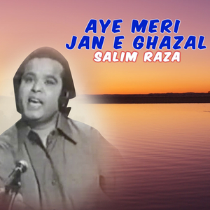 Insan Ka Dushmin Yahan Insan Bana Howa Hay