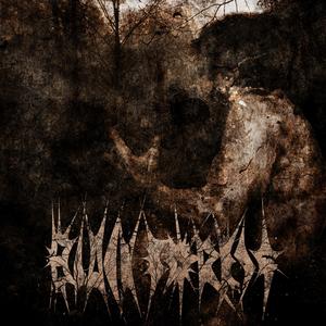 Brutalized