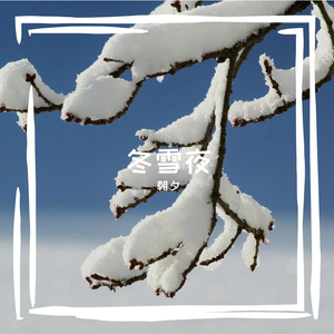 路灯下雪花飘成你的轮廓