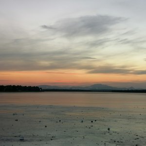 你会不会路过我的明天