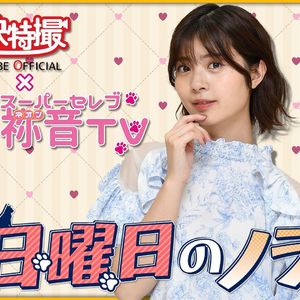 星期天的流浪猫/日曜日のノラネコ