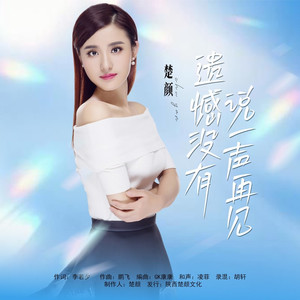 遗憾没有说一声再见