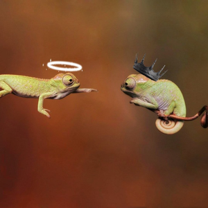 爬行随笔（Crawl Freestyle）