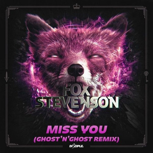 Miss You (Ghost'n'Ghost Remix)