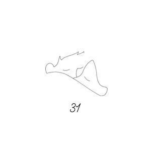 31