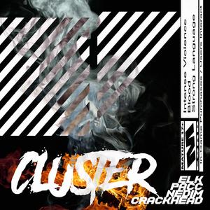 CLUSTER