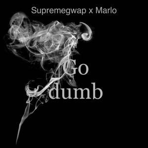 Go Dumb