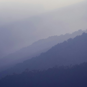 Traces of Calm