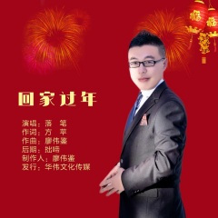 回家过年 (DJ阿能版)