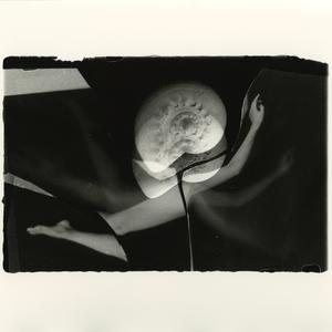 預言者はなぜ左遷性の時を刻むのか