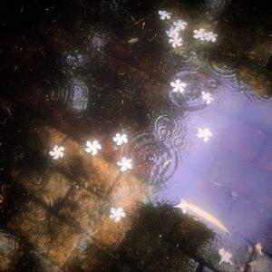 【FREE】"落单的恋人"Juice WRLD x Iann Dior Type Beat