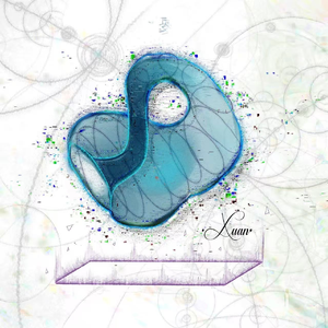 Paphiopedilum (兜兰)