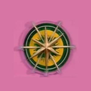 总有一天我会成为新星