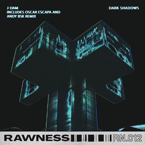 Dark Shadows (Andy BSK Remix)