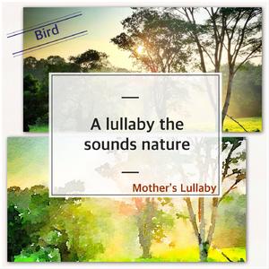 아목동아 (Danny Boy) (Bird Ver.)