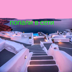 Попали в сети