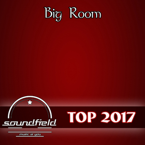 Big Jungle Room (Original Mix)