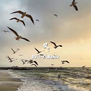 又（DJ小玖Remix）