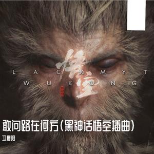 敢问路在何方（吉他翻弹）