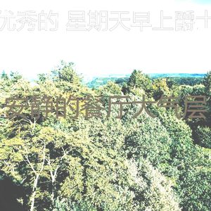 温和周末梦想