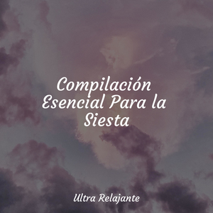 Crepúsculo Desde La Ventana