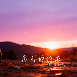 离别的伤感