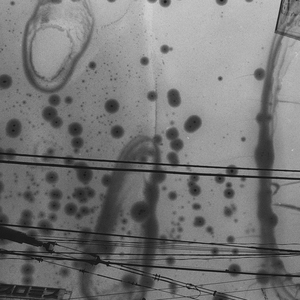 Ringbahn (David Goldberg Redux)