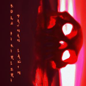 Kötü Fikirleri Savmam Lazım (feat. bo)