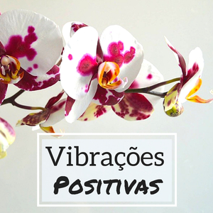 Aprendendo a Meditar