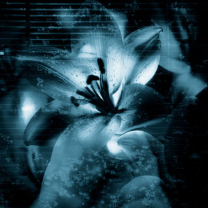 Ночью на кухне мы танцевали под Боунса