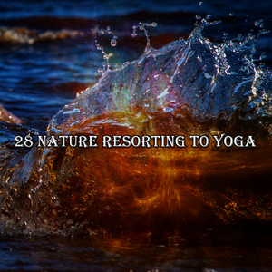 舒缓宁静的灵魂